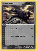 dragon noir