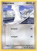 dragon blanc