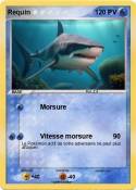 Requin