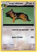 berger allemand