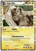 Niga Kitty