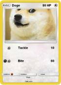 Doge
