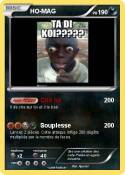 HO-MAG