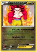 SSJ4 GOD GOKU