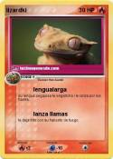 lizardki