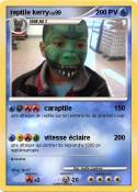 reptile kerry