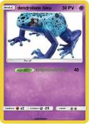 dendrobate bleu