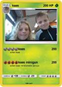 kaas
