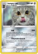 hungry cat