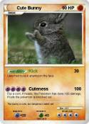 Cute Bunny