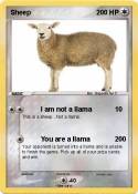 Sheep