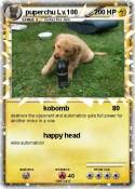 puperchu Lv.100