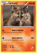 cat frenzy