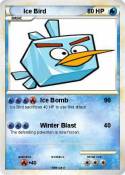 Ice Bird
