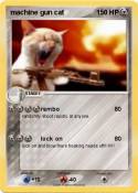 machine gun cat