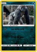 Harambe
