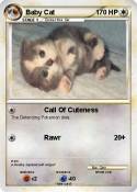 Baby Cat