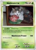 Mushroom Cat
