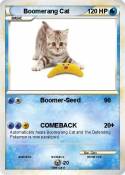 Boomerang Cat