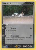 chat niv X