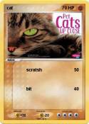 cat