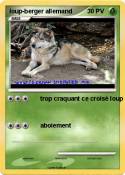 loup-berger