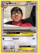 Duck