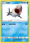shark