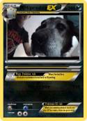 Hiprodog