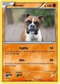 Boxer