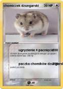chomiczek