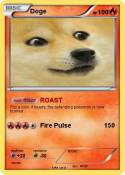 Doge