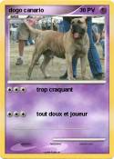 dogo canario