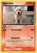 Super chien