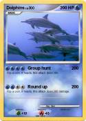 Dolphins