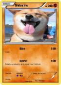Shiba Inu