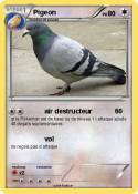 Pigeon