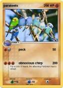 parakeets