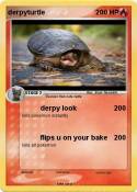 derpyturtle