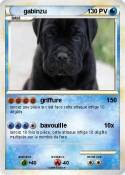 gabinzu