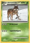 berger allemand