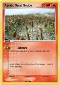 Asiatic Sand
