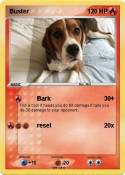 Buster
