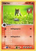 chat fou