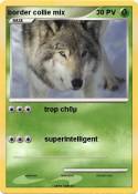 border collie