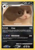 Melvin