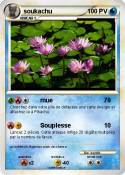 soukachu
