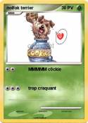 nolfok terrier
