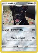 Sheldon GX