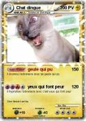 Chat dingue